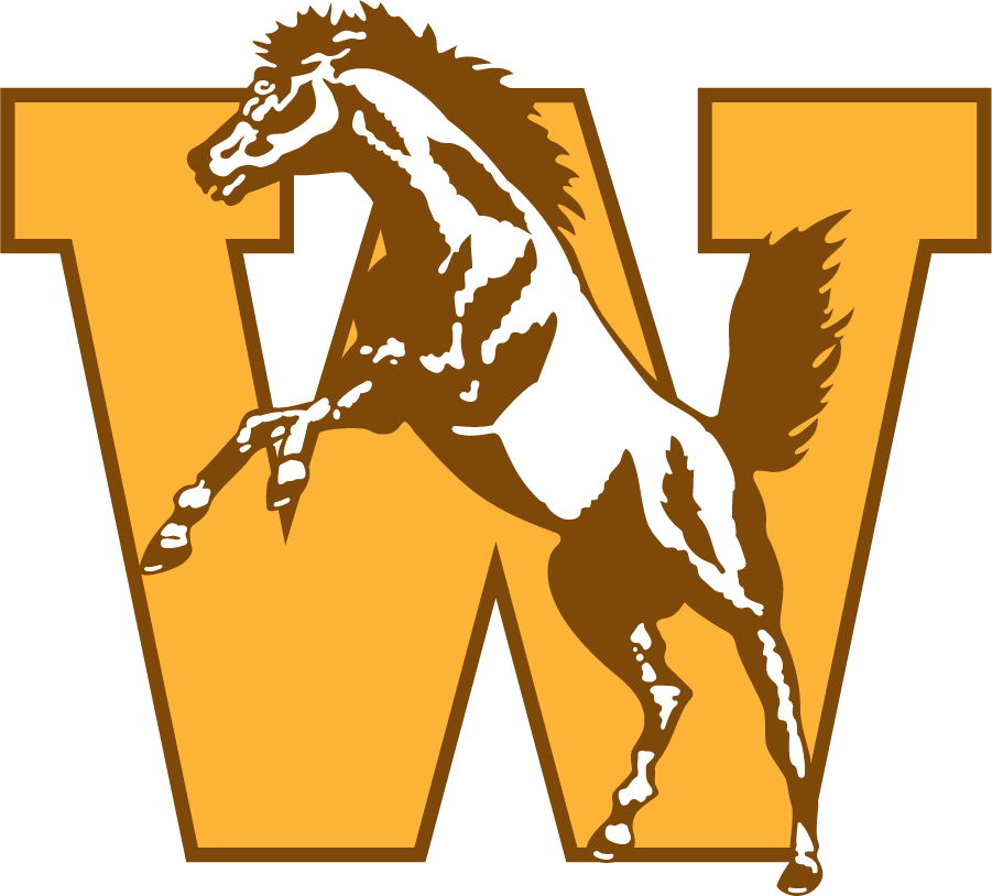 Western Michigan Broncos 1994-1998 Primary Logo t shirts iron on transfers
